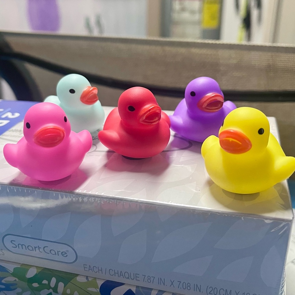 Mini Rubber Duck Magnets (5)